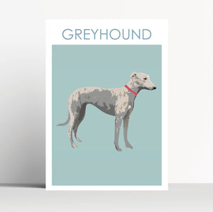 Greyhound Print