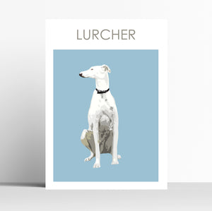 White Lurcher Print